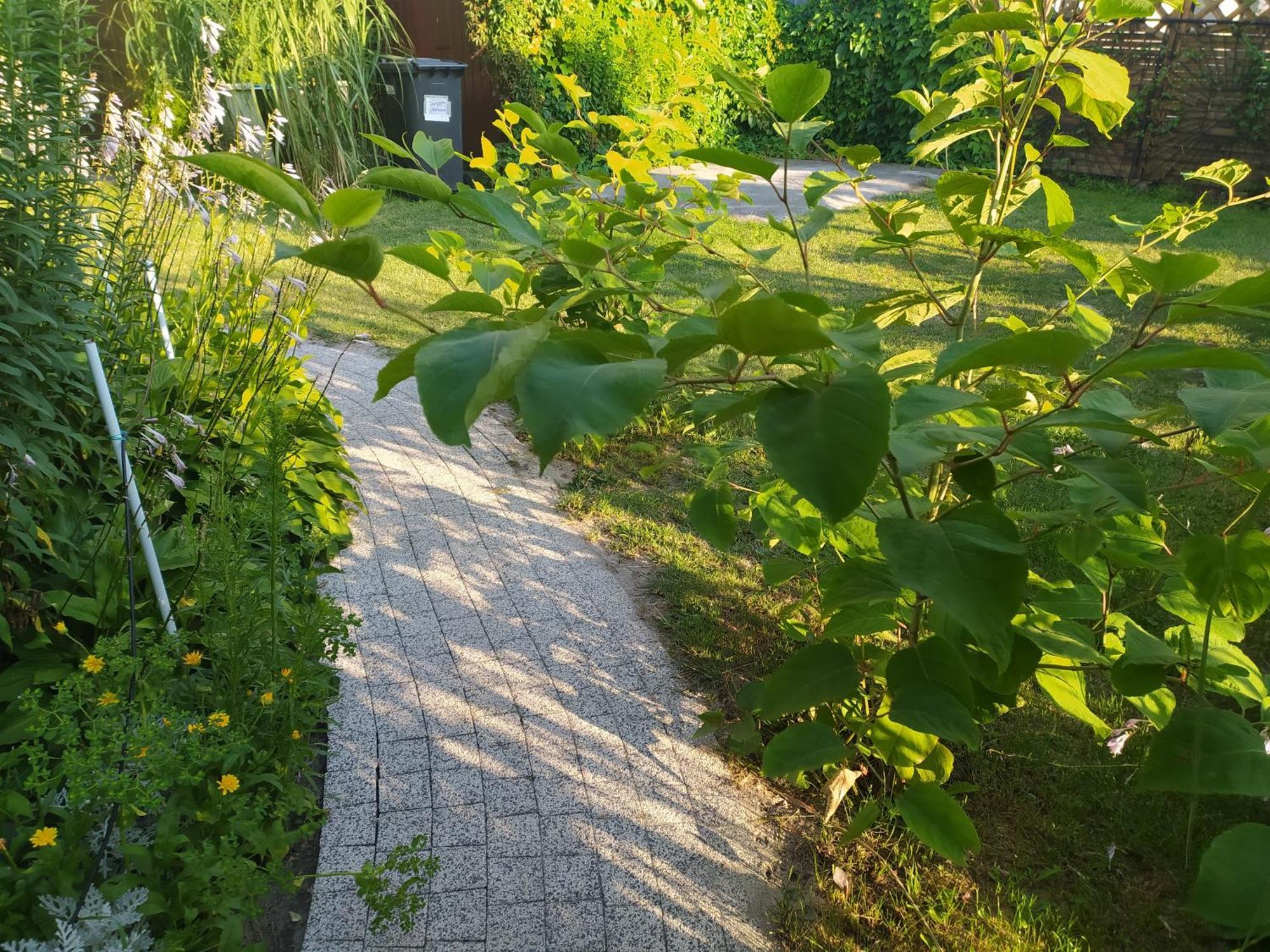 Wczasy Sandi Chlapowo Władysławowo Esterno foto